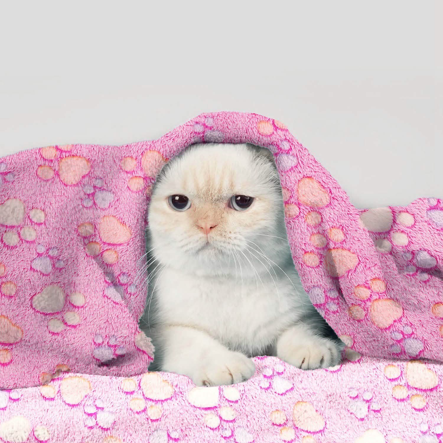 Fluffy Dog Cat Blanket Pet Supplies - DailySale