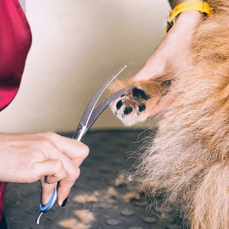 Gimars 6 in 1 Professional Stainless Steel Safety Pet Grooming Scissors Pet Supplies - DailySale