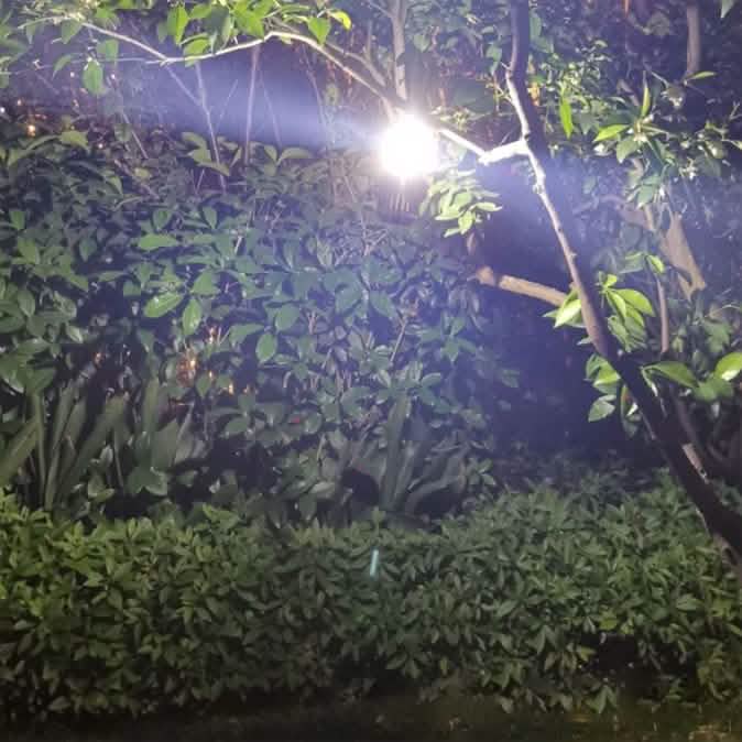 Hakol Outdoor Solar Powered LED Rechargeable Mosquito Zapper Lantern Sports & Outdoors - DailySale