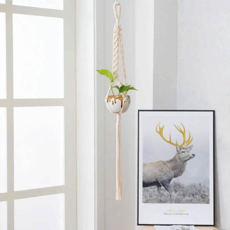 Hand Woven Macrame Tapestry Plant Hanger Holder Furniture & Decor - DailySale