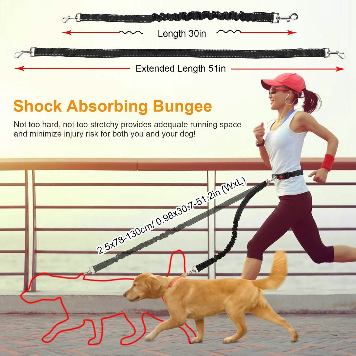 Hands Free Dogs Leash Waist Belt Pet Supplies - DailySale