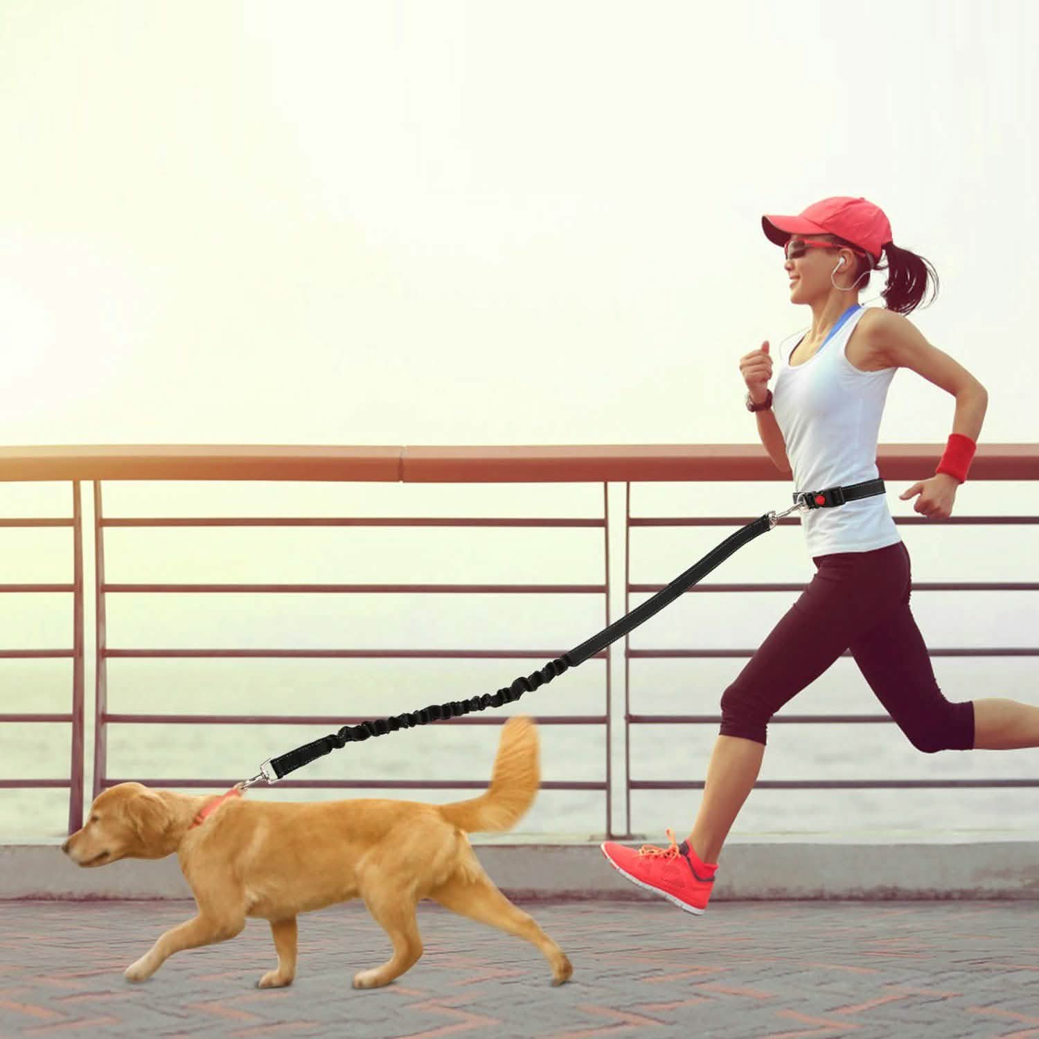 Hands Free Dogs Leash Waist Belt Pet Supplies - DailySale