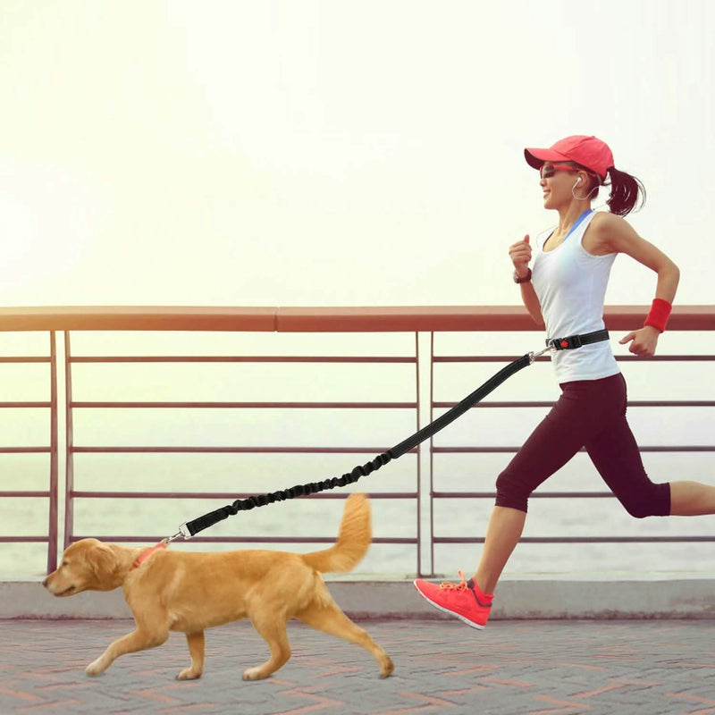 Hands Free Dogs Leash Waist Belt Pet Supplies - DailySale
