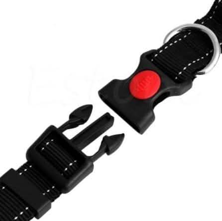 Hands Free Running Bungee Dog Leash - Assorted Colors Pet Supplies - DailySale