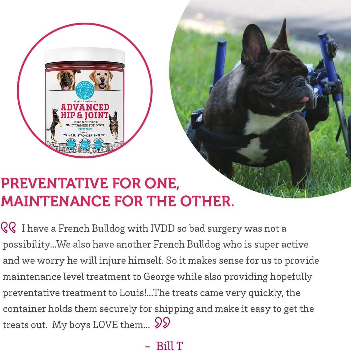 Hip and Joint Advanced Level 2 Formula All Natural Glucosamine Supplement for Dogs and Cat Pet Supplies - DailySale