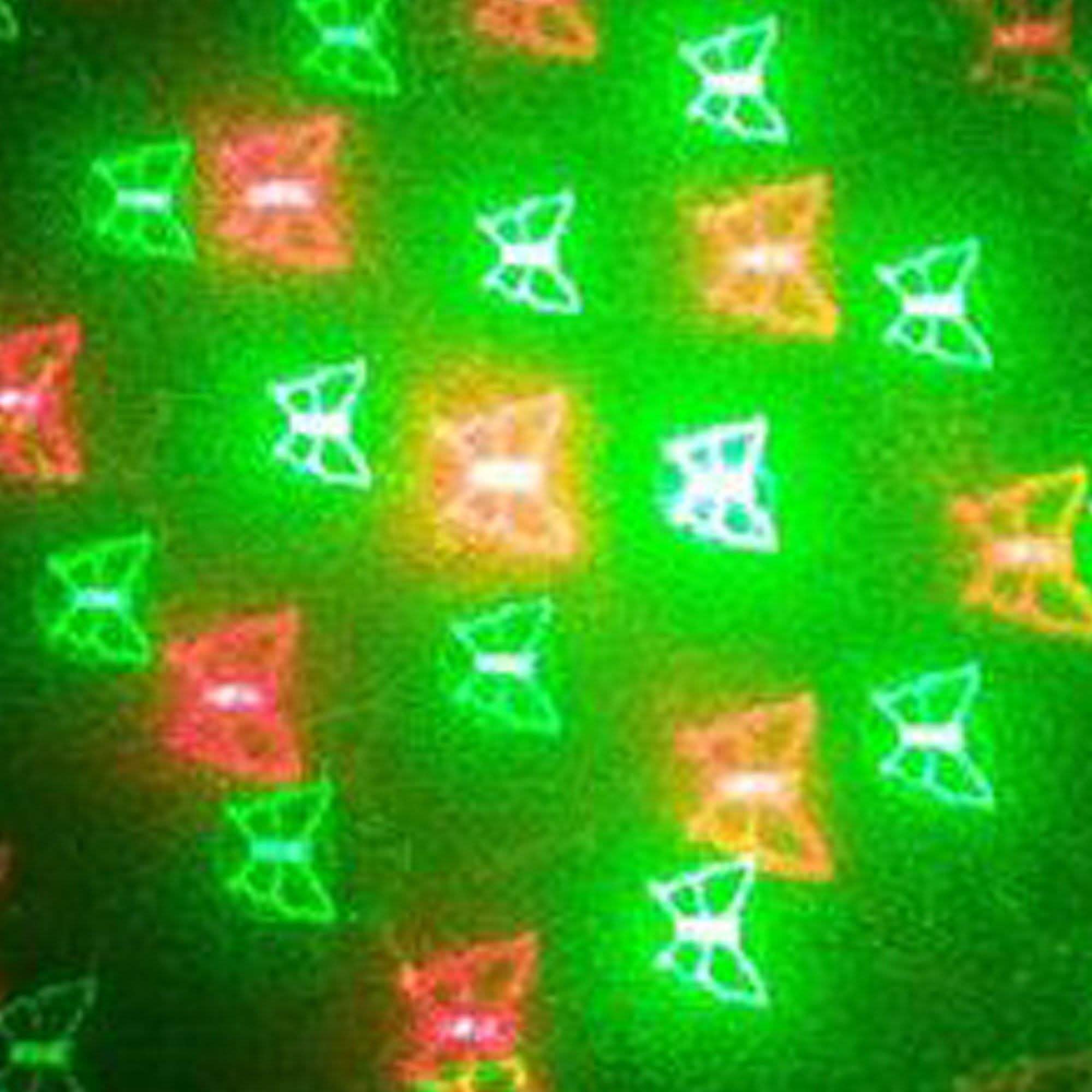 Holiday Light Projectors with Red and Green 12 Patterns Lighting & Decor - DailySale