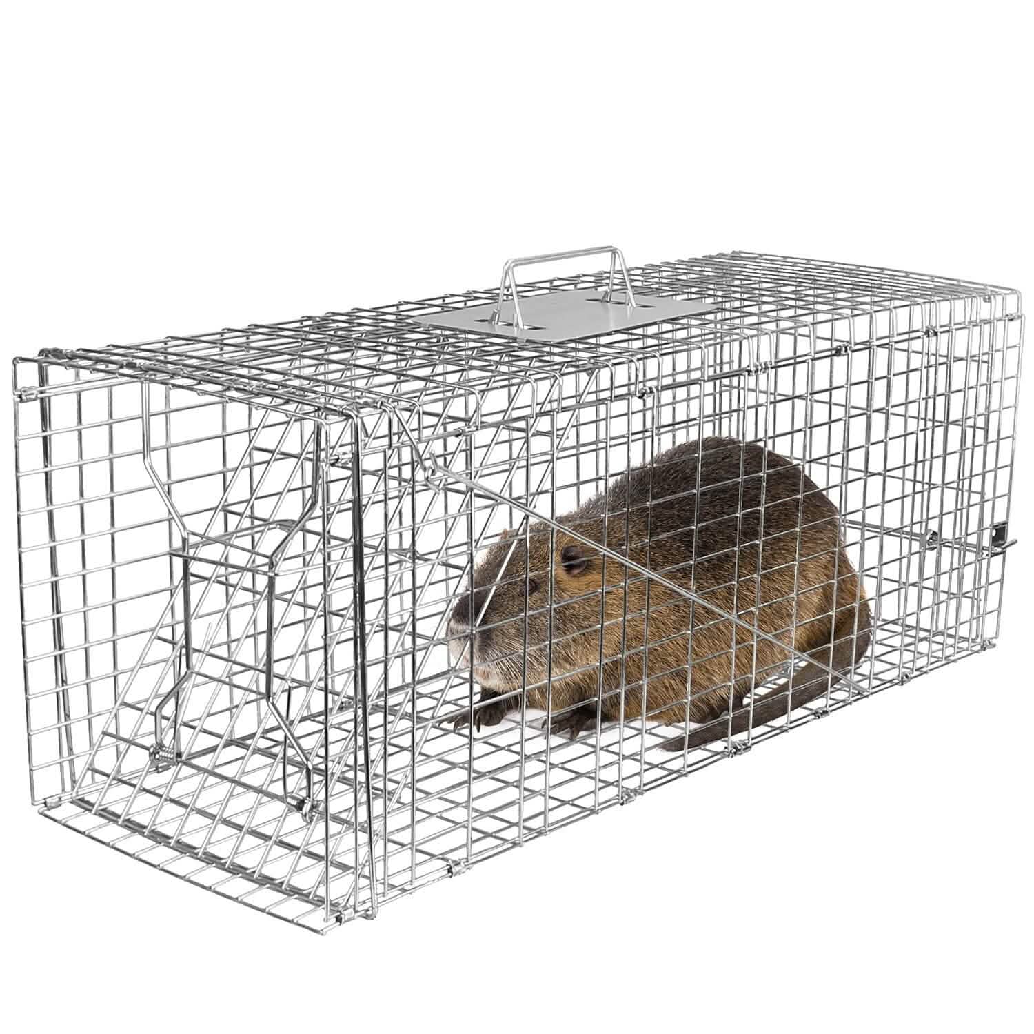 Humane Catch Release Live Animal Collapsible Galvanized Wire Trap Cage Pest Control - DailySale