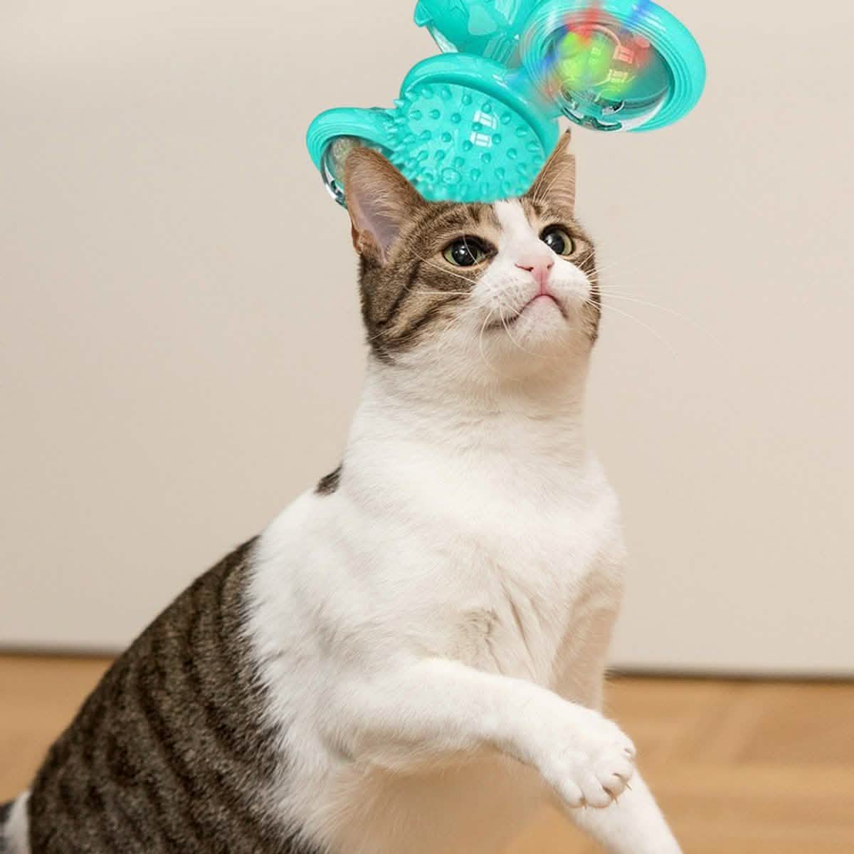 Interactive Massage Scratching Tickle Toy With Catnip And Led Ball For Indoors Cats Pet Supplies - DailySale