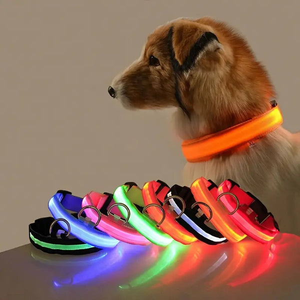 LED Dog Collars Light Adjustable Flashing Luminous Collar Night Anti-Lost Pet Supplies - DailySale