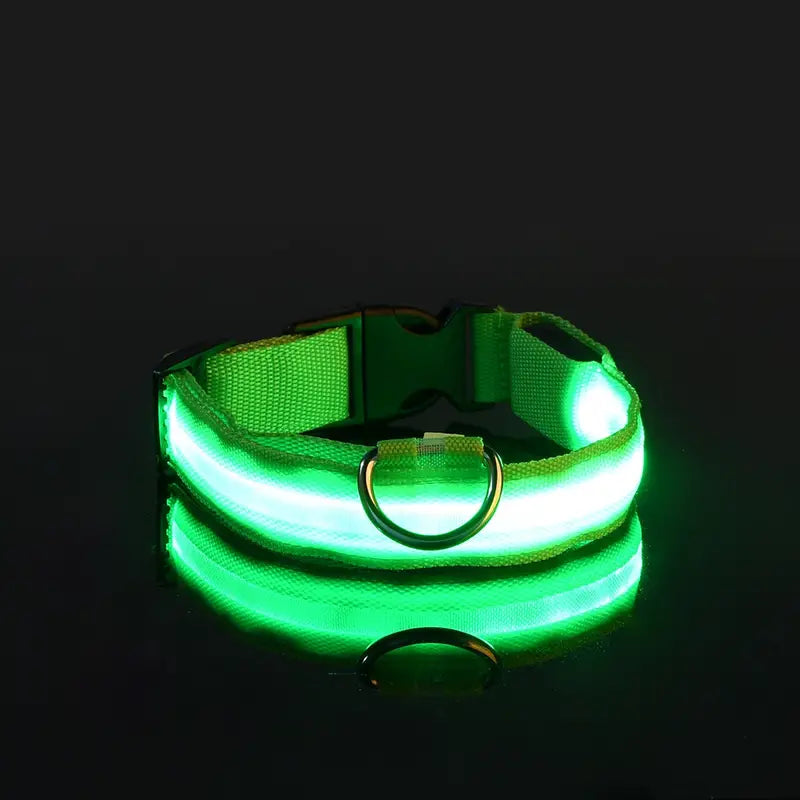 LED Dog Collars Light Adjustable Flashing Luminous Collar Night Anti-Lost Pet Supplies Green XS - DailySale