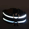 LED Dog Collars Light Adjustable Flashing Luminous Collar Night Anti-Lost Pet Supplies White XS - DailySale