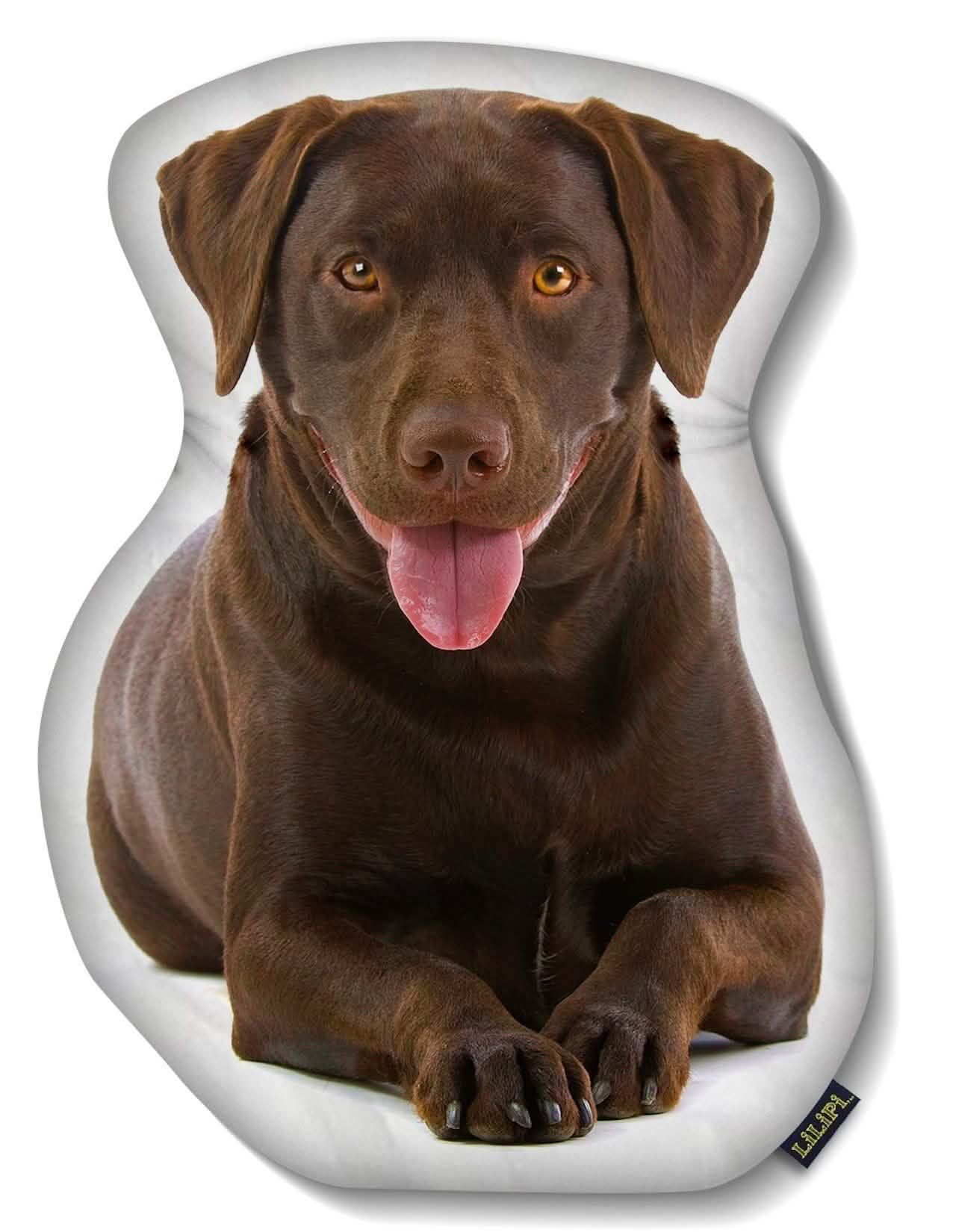 LiLiPi Dog-Shaped Accent Pillow - Assorted Styles Linen & Bedding - DailySale