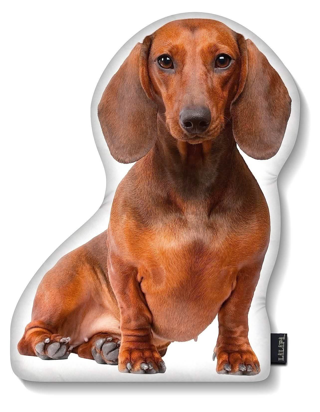 LiLiPi Dog-Shaped Accent Pillow - Assorted Styles Linen & Bedding - DailySale