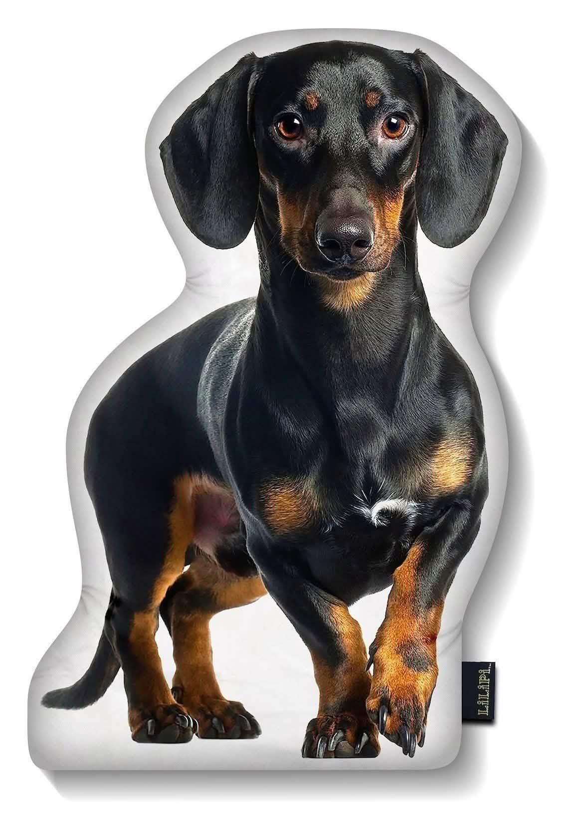 LiLiPi Dog-Shaped Accent Pillow - Assorted Styles Linen & Bedding - DailySale