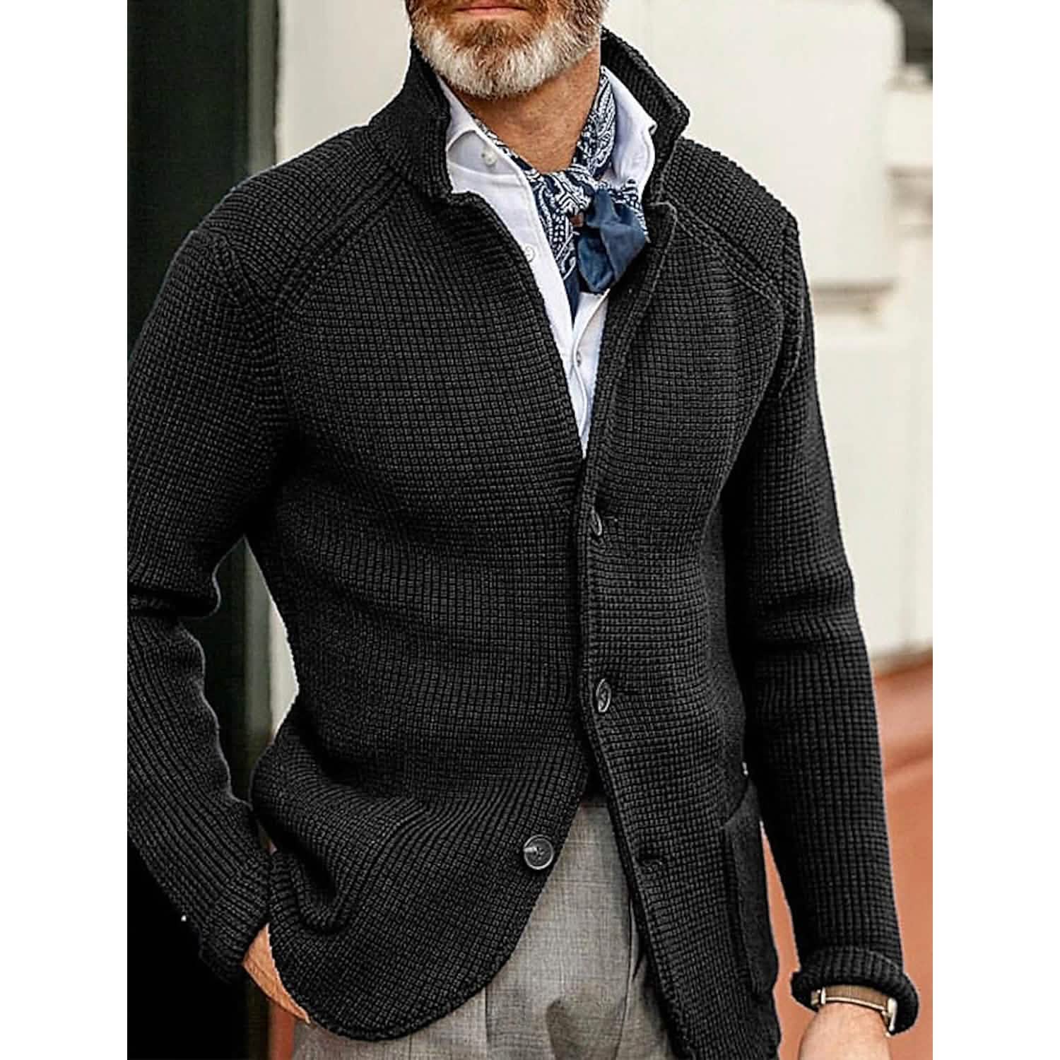 Men's Cardigan Solid Color Sweater Men's Outerwear Black S - DailySale
