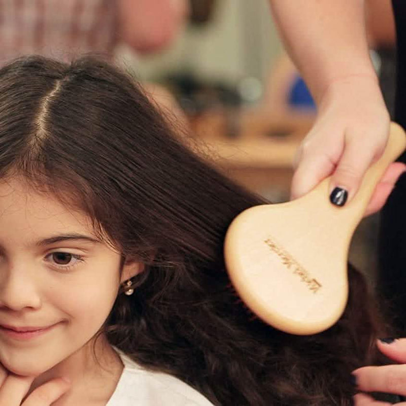 Michel Mercier Wood Crafted Detangling Hair Brush Beauty & Personal Care - DailySale
