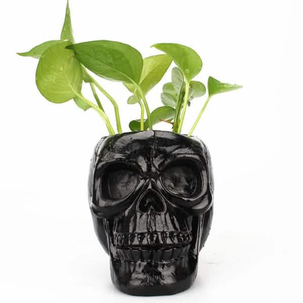 Multifunction Creative Skull Storage Stationery Holder Closet & Storage - DailySale