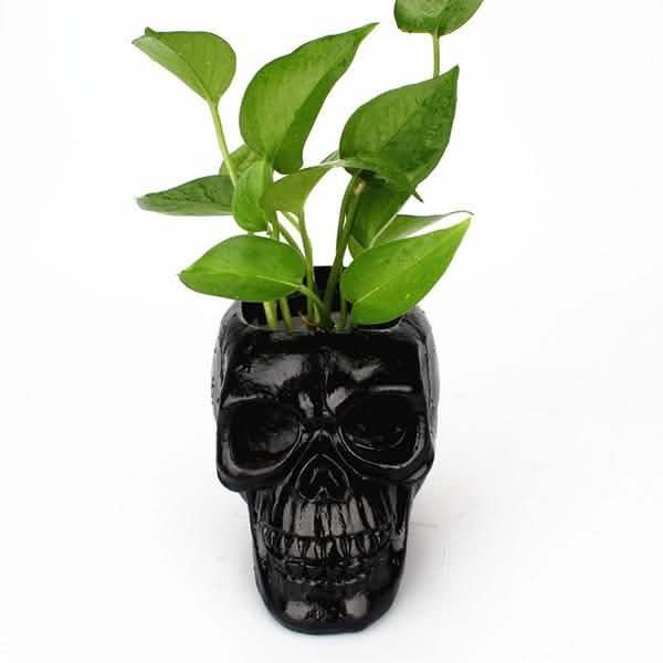Multifunction Creative Skull Storage Stationery Holder Closet & Storage - DailySale