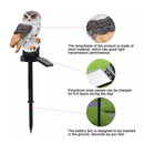 Owl Solar LED Lights with Decorative Stake Outdoor Lighting - DailySale