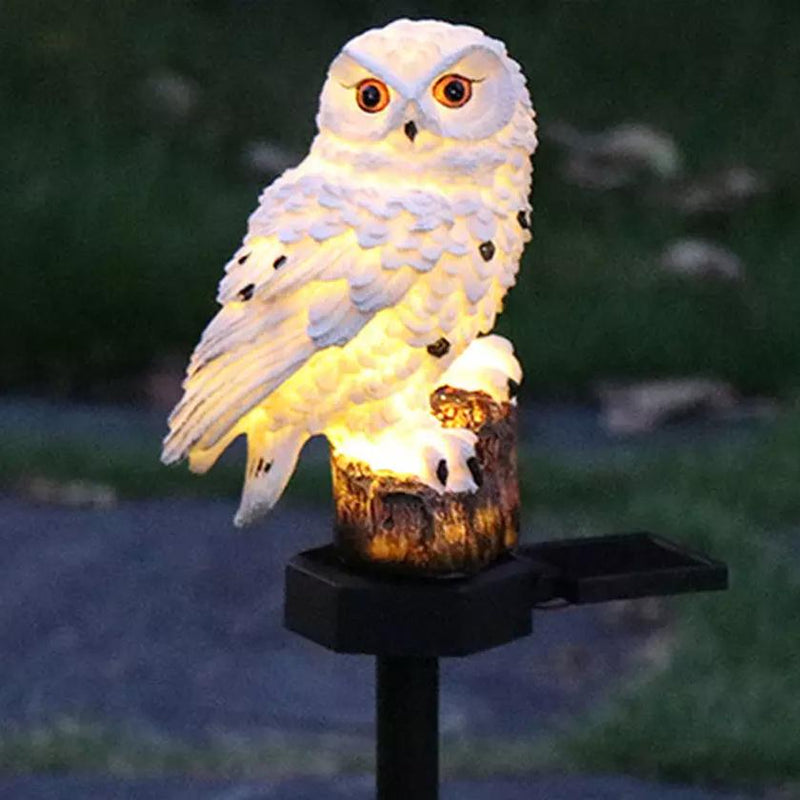 Brown Owl Solar LED Lights with Decorative Stake lit up, available at Dailysale