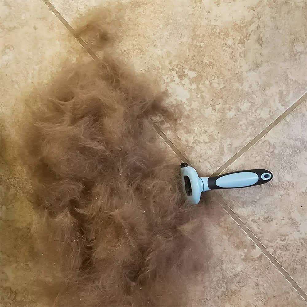 OxGord Blue Combo Pet Grooming Brush Pet Supplies - DailySale