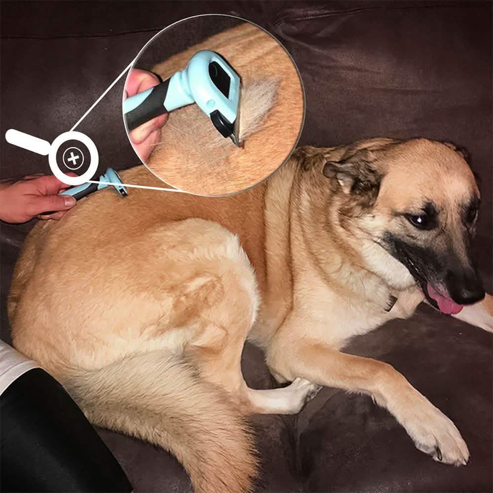 OxGord Blue Combo Pet Grooming Brush Pet Supplies - DailySale