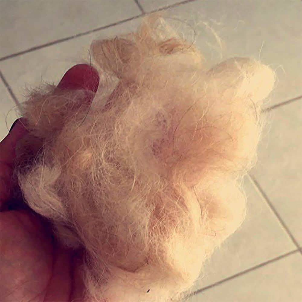 OxGord Blue Combo Pet Grooming Brush Pet Supplies - DailySale