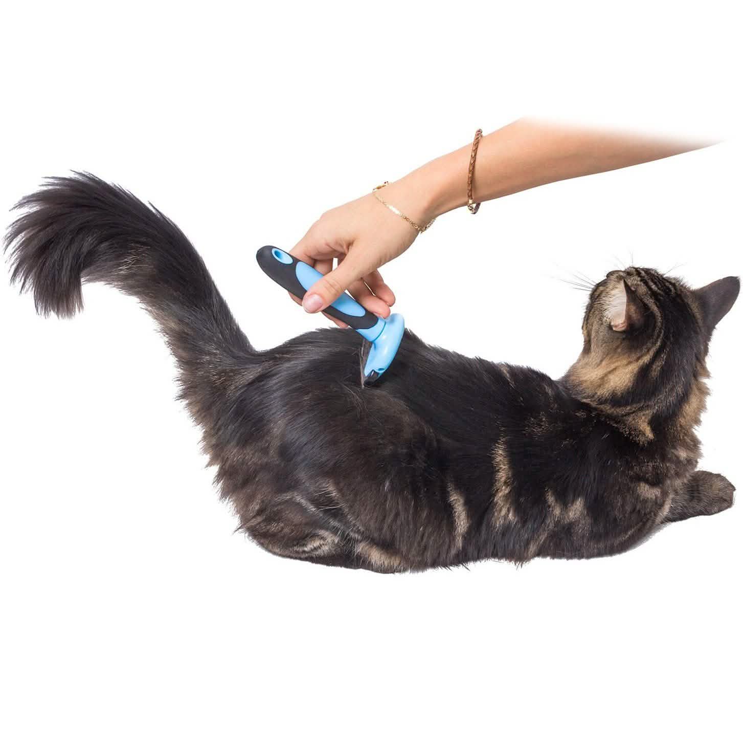 OxGord Blue Combo Pet Grooming Brush Pet Supplies - DailySale
