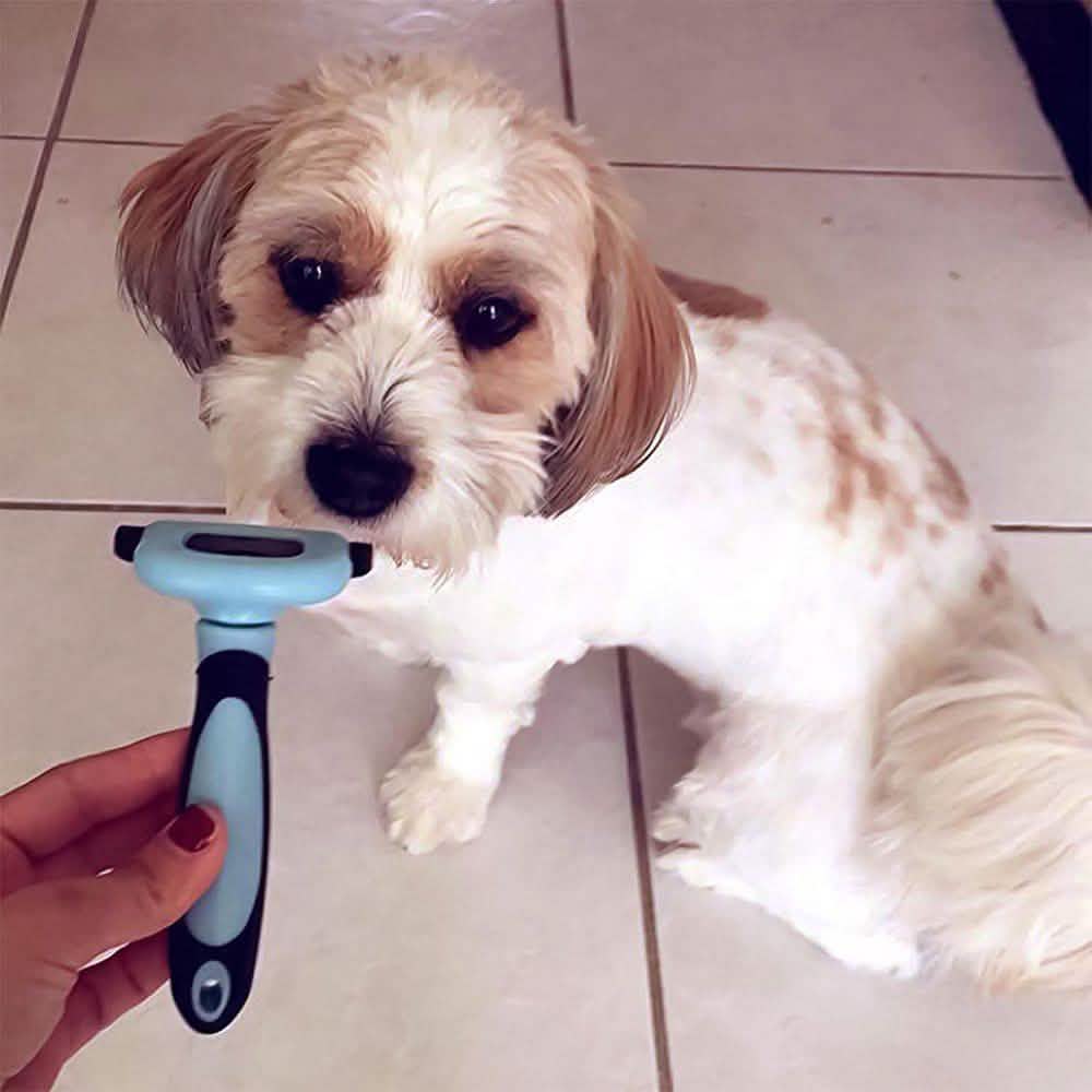 OxGord Blue Combo Pet Grooming Brush Pet Supplies - DailySale