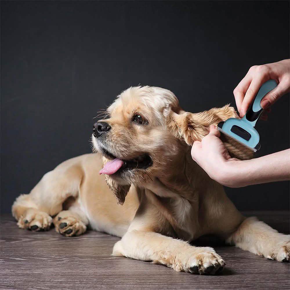 OxGord Blue Combo Pet Grooming Brush Pet Supplies - DailySale