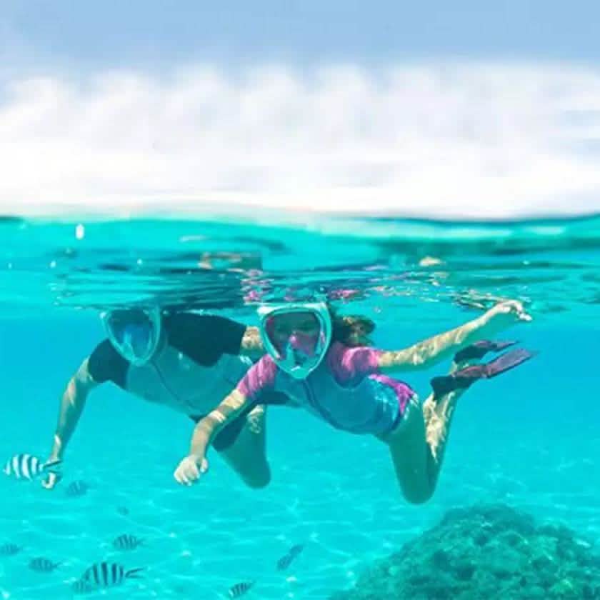 Panoramic Snorkeling Mask Full Face GoPro Compatible Snorkel Mask Scuba Mask Sports & Outdoors - DailySale
