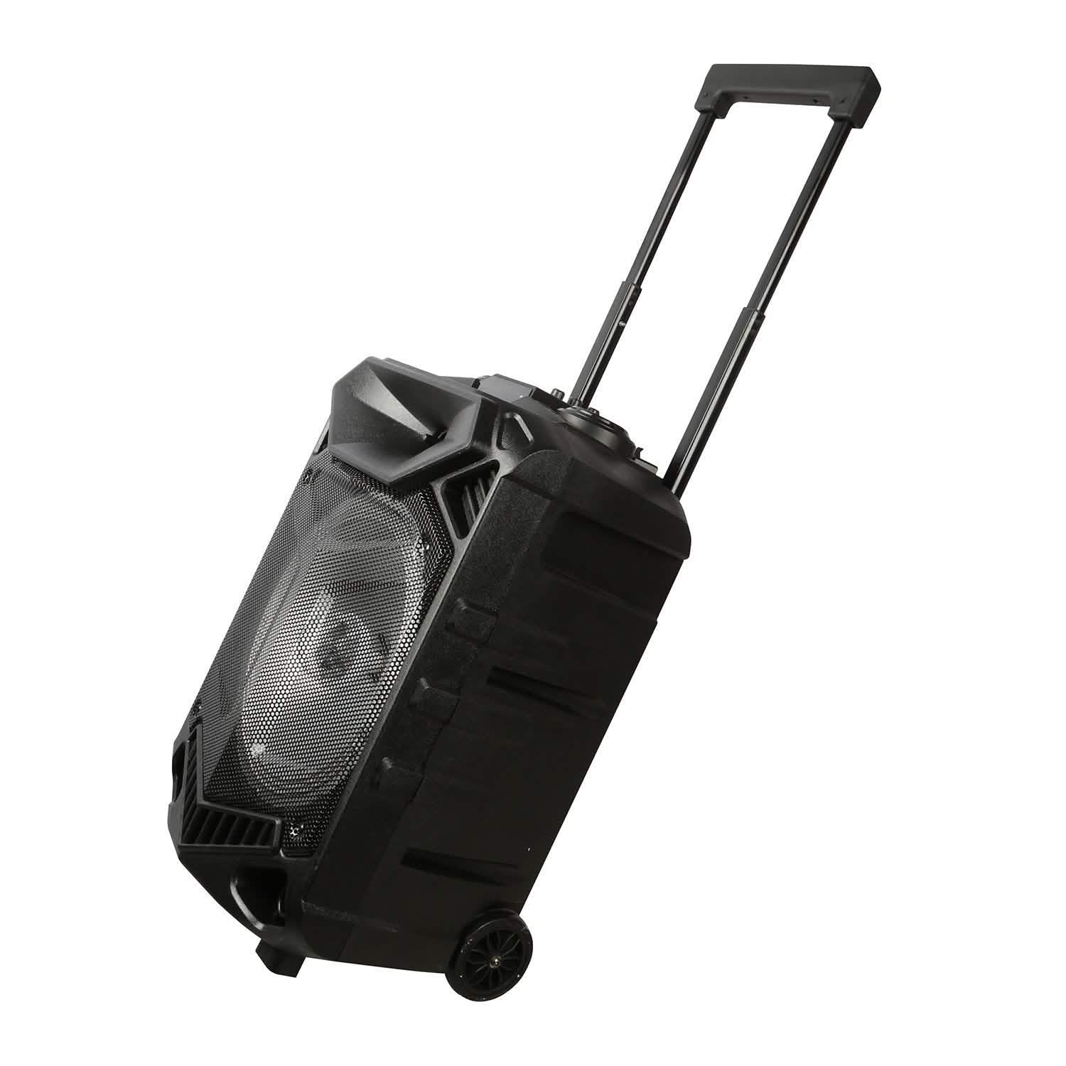 Party Wireless Speaker Speakers - DailySale