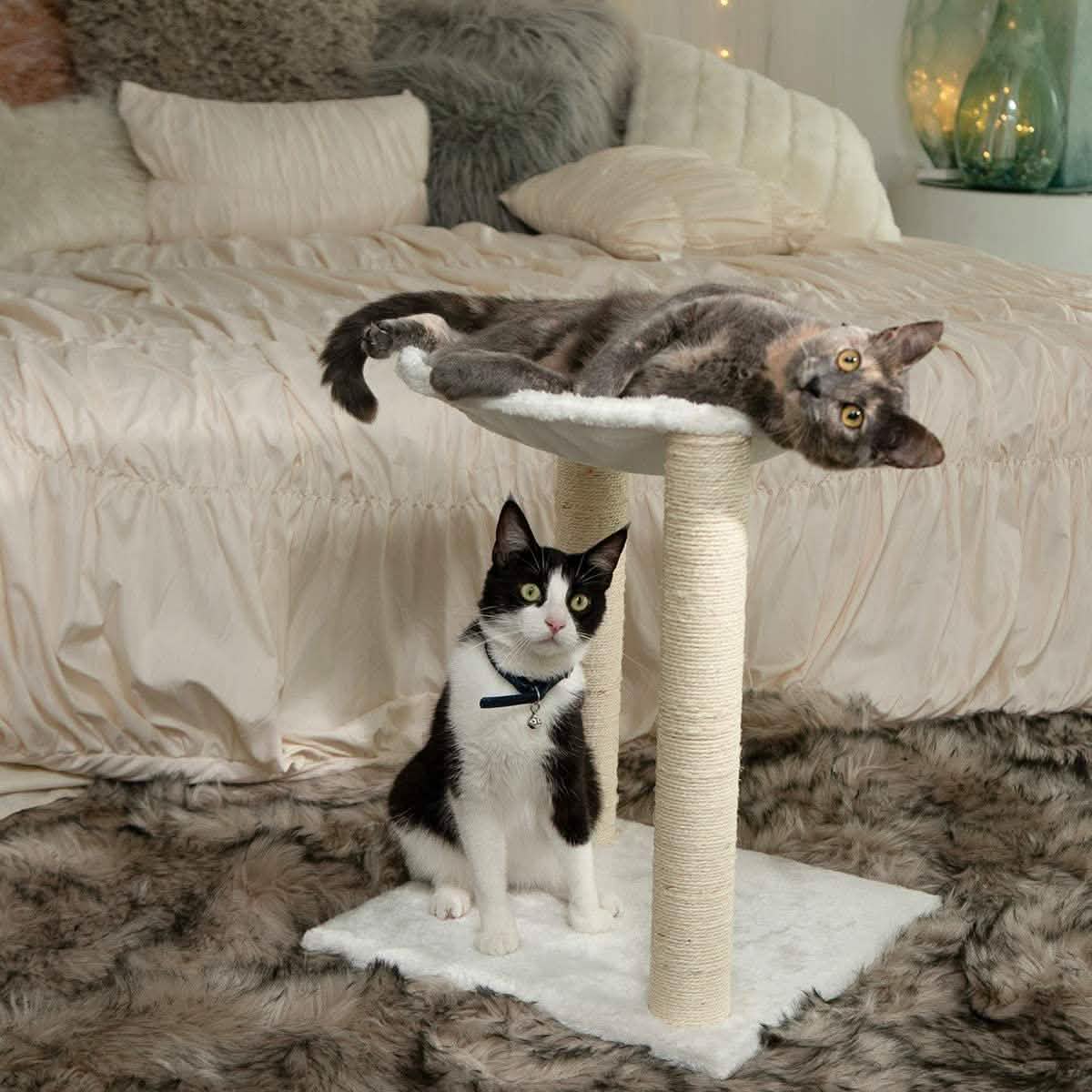 Paws & Pals 3-in-1 Cat Scratching Post with Hammock and Toy Pet Supplies - DailySale