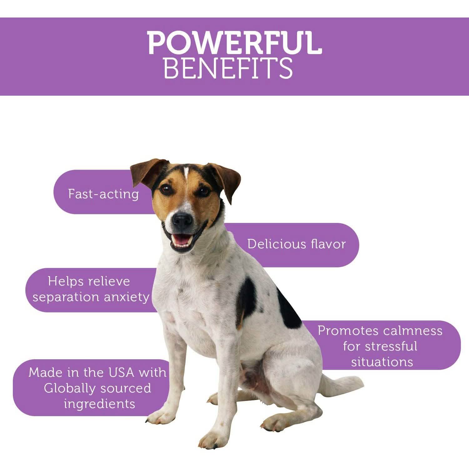 Paws & Pals Dog Calming Treats - Pet Anti Anxiety Supplement Pet Supplies - DailySale