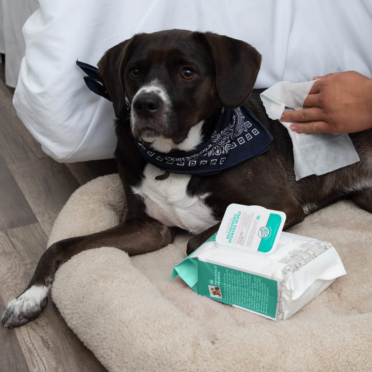 Paws & Pals Pet Grooming Wipes Hypo-Allergenic Cleansing and Deodorizing Pet Supplies - DailySale