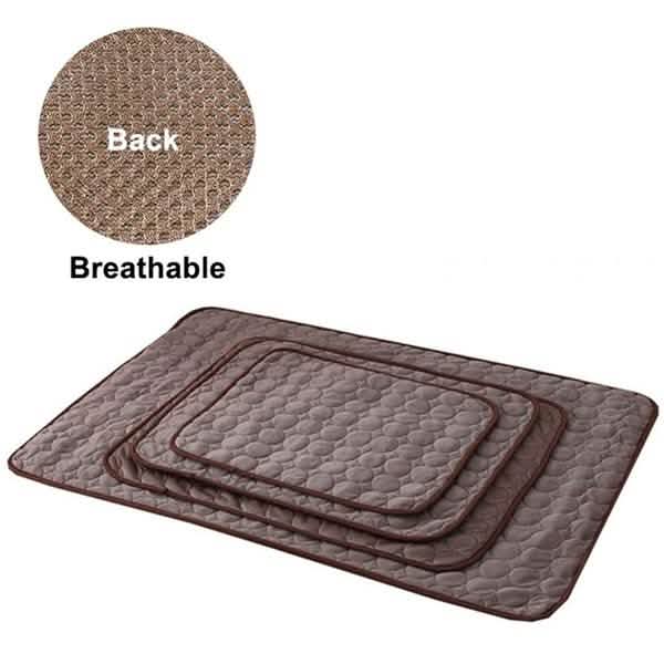 #color_brown