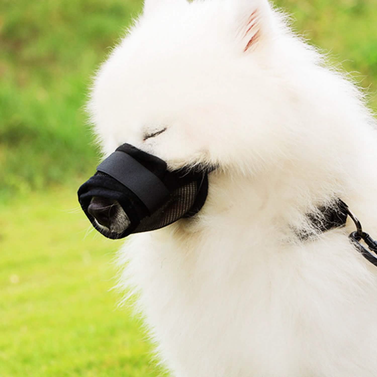 Pet Dog Muzzle Mask Adjustable Dog Mouth Cover Pet Supplies - DailySale