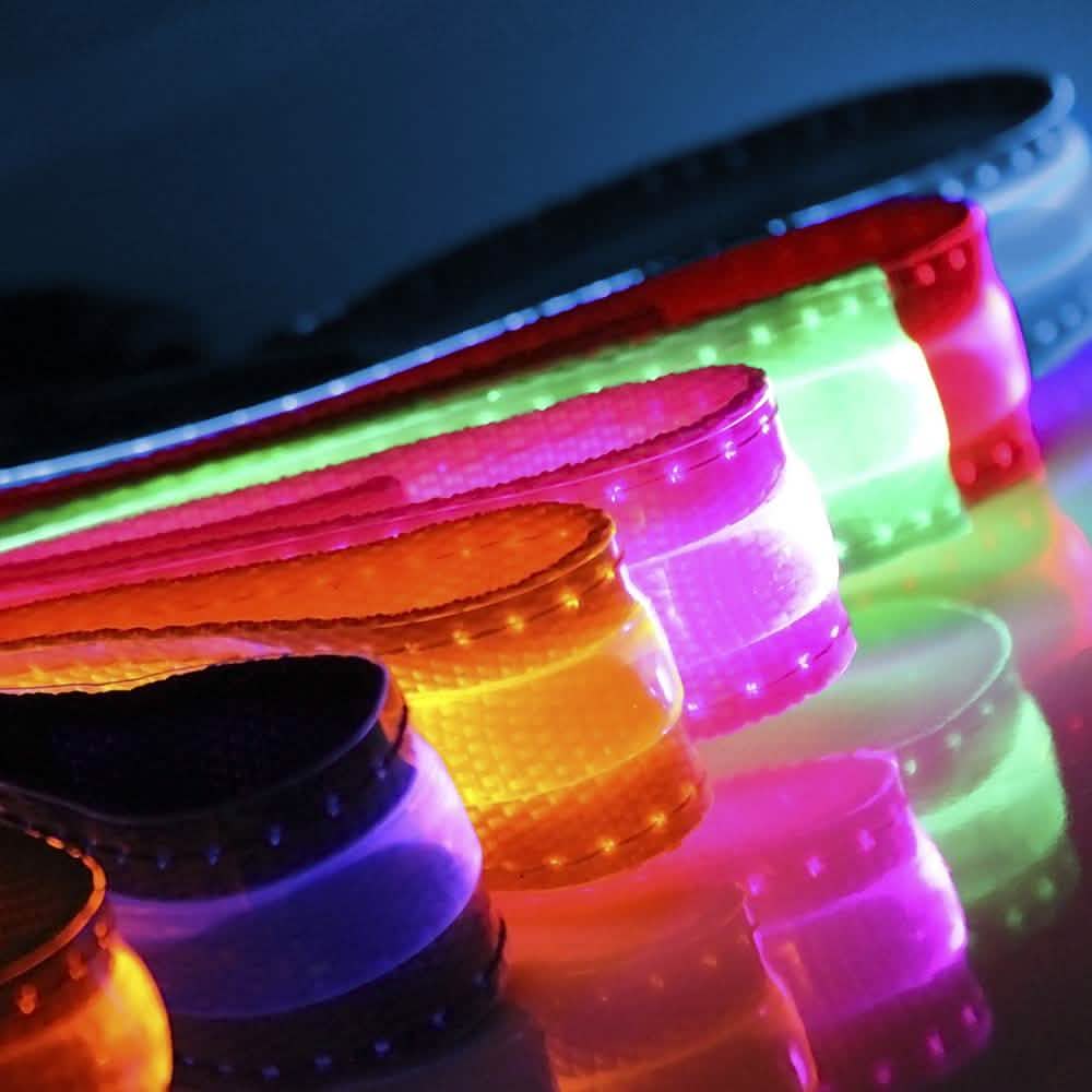 Pet LED Collar Pet Supplies - DailySale