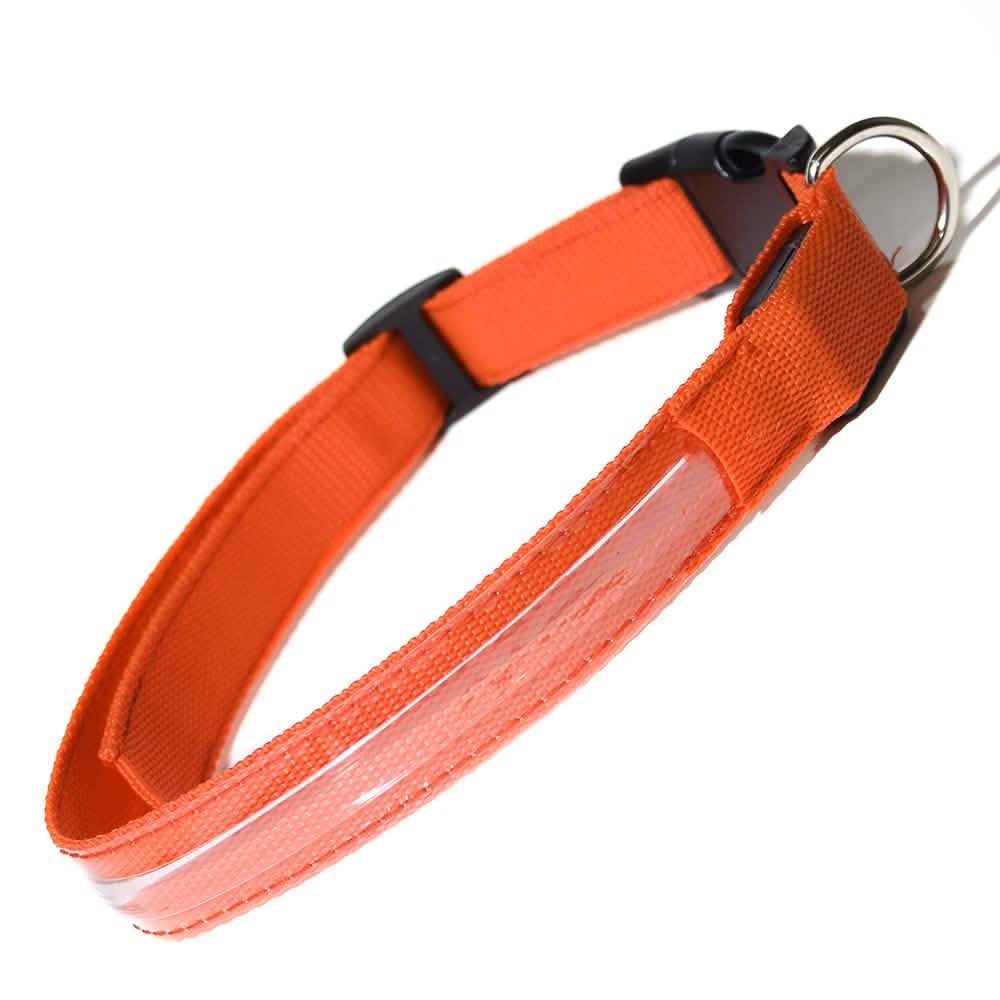 Pet LED Collar Pet Supplies M Orange - DailySale