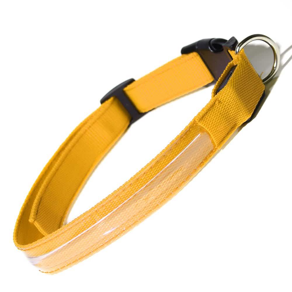 Pet LED Collar Pet Supplies M Yellow - DailySale