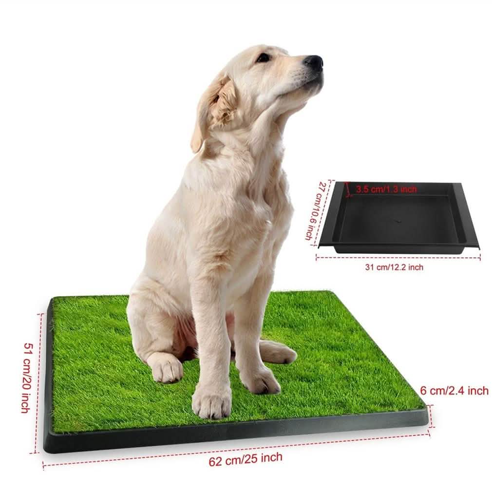 Pet Loo Portable Indoor/Outdoor Pet Potty Pet Supplies - DailySale