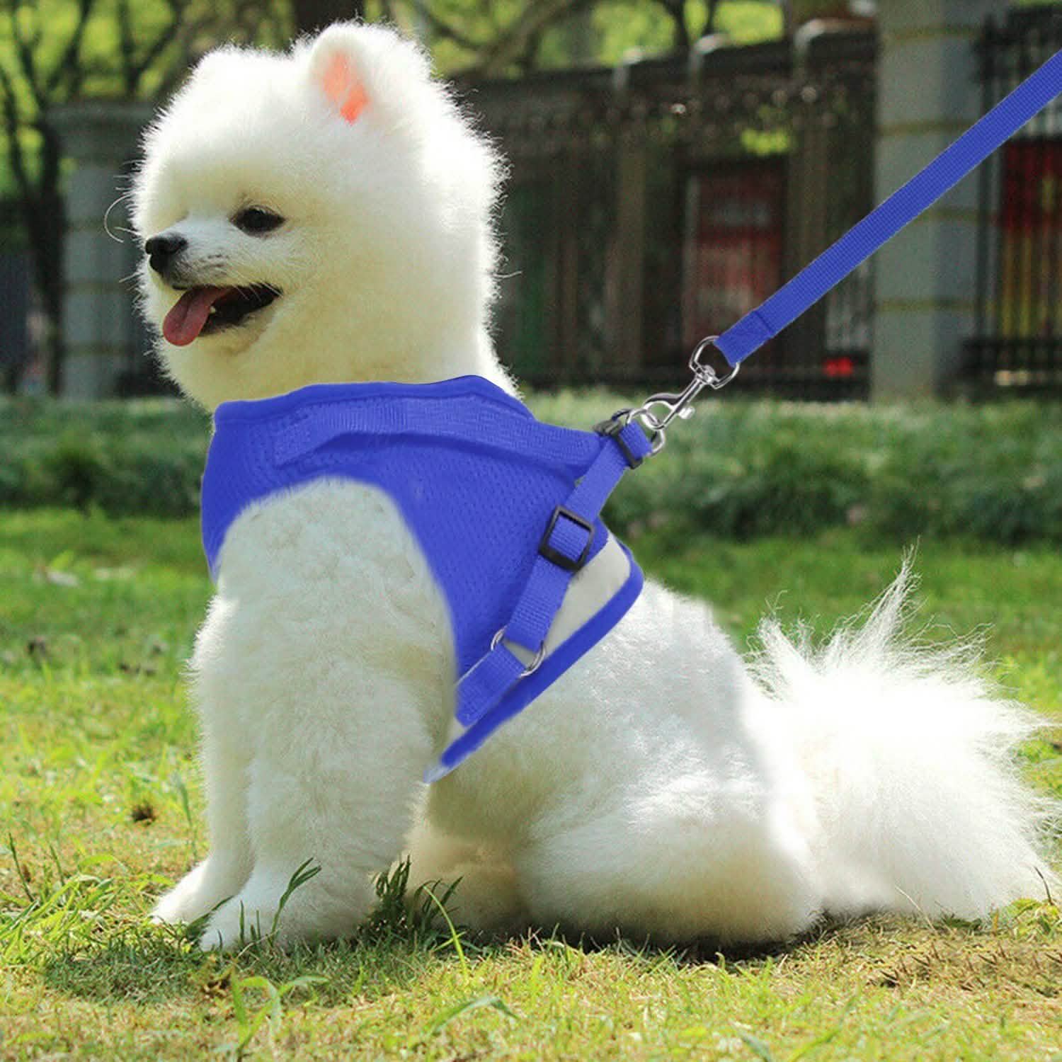 Pet Mesh Harness Dog Leash Puppy Vest Pet Supplies - DailySale