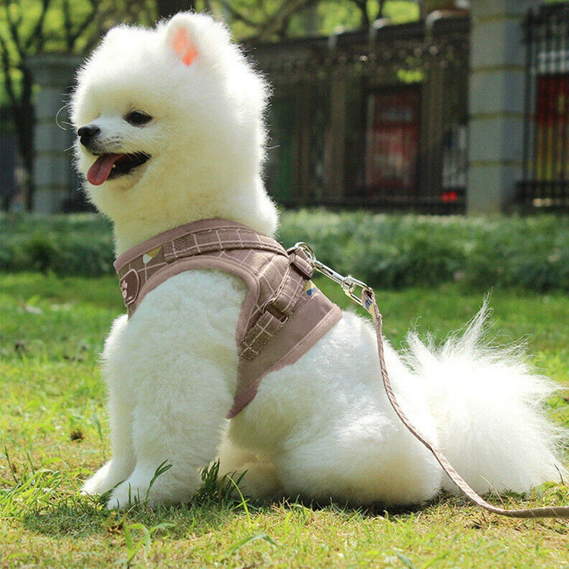Pet Mesh Harness Dog Leash Puppy Vest Pet Supplies - DailySale