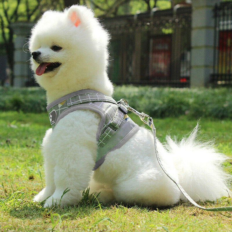Pet Mesh Harness Dog Leash Puppy Vest Pet Supplies - DailySale