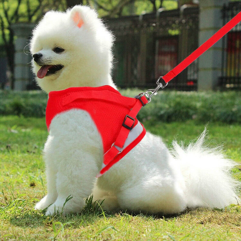 Pet Mesh Harness Dog Leash Puppy Vest Pet Supplies - DailySale