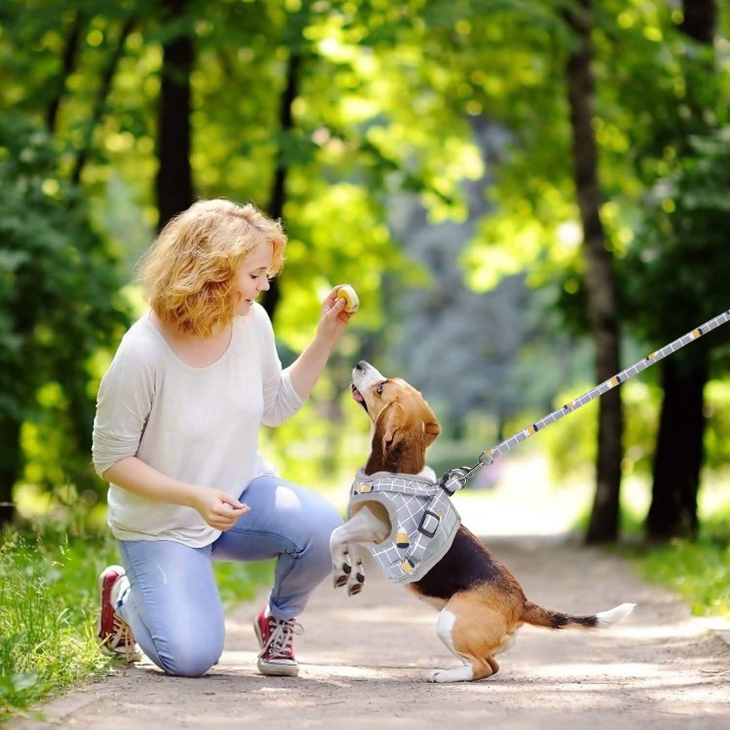 Pet Mesh Harness Dog Leash Puppy Vest Pet Supplies - DailySale