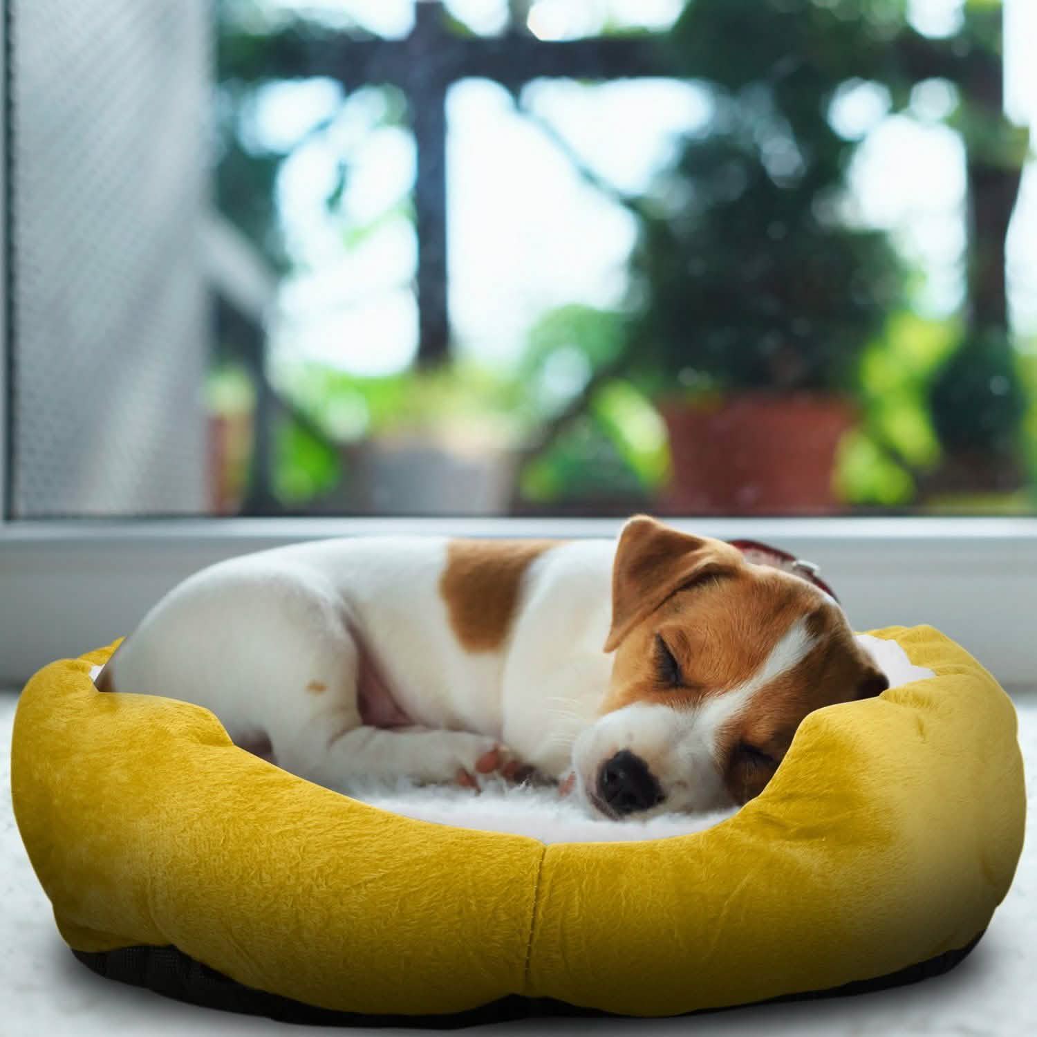 Pet Puppy Cat Soft Warm Fleece Bed Pet Supplies - DailySale