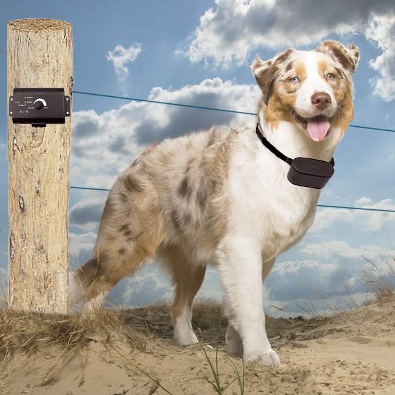 PetZoom Electric Dog Fence In-Ground Fencing System Pet Supplies - DailySale