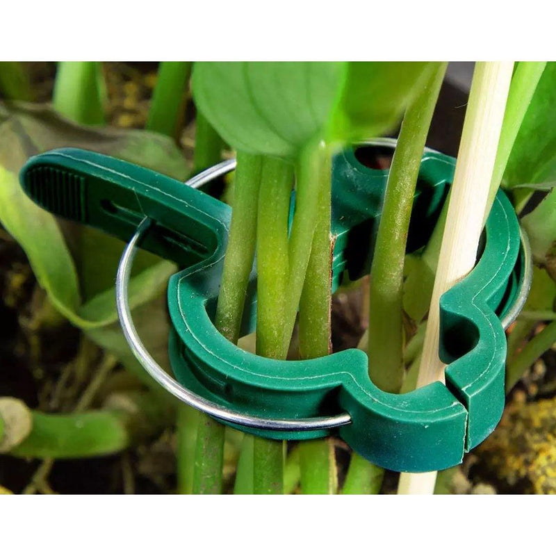Plant Support Clips for Garden Vine to Grow Upright Garden & Patio - DailySale