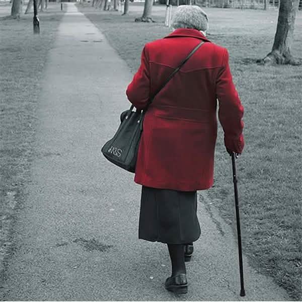 Portable Aluminum Folding Walking Travel Stick Cane Wellness & Fitness - DailySale